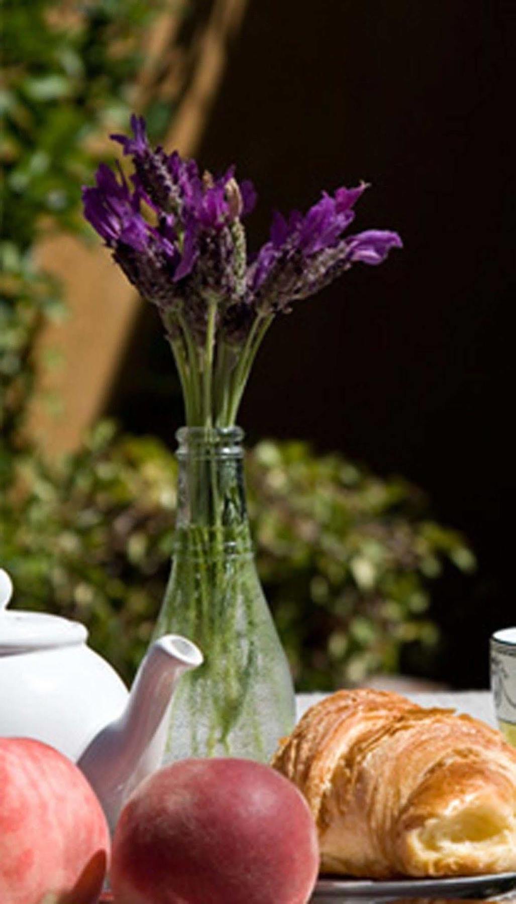 แอต เอเลเวน อพาร์ตเมนต์ Bed & Breakfast แซนดีเบย์ ภายนอก รูปภาพ